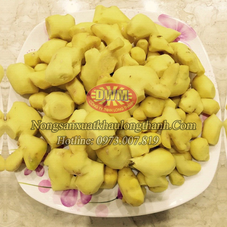 Gừng trâu tươi