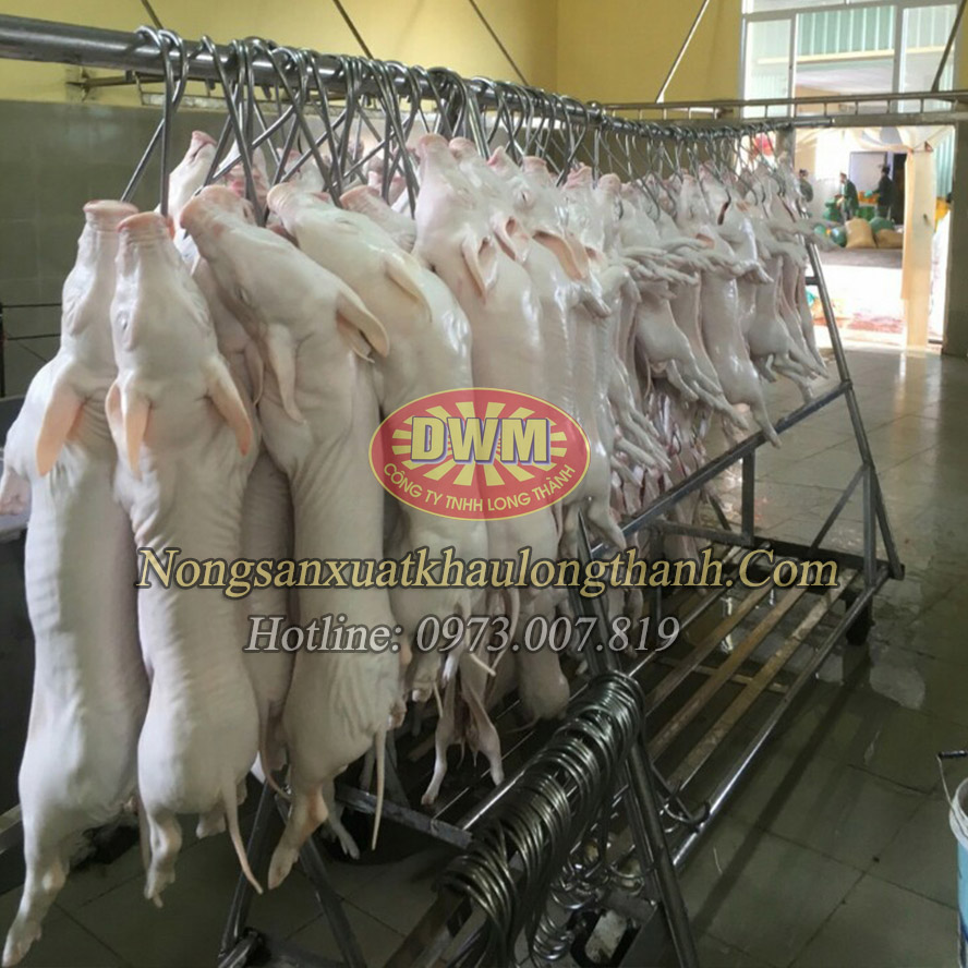Lợn sữa đông lạnh xuất khẩu